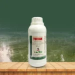 YUCCASH (Shrimp & Fish)-ইউক্যাশ